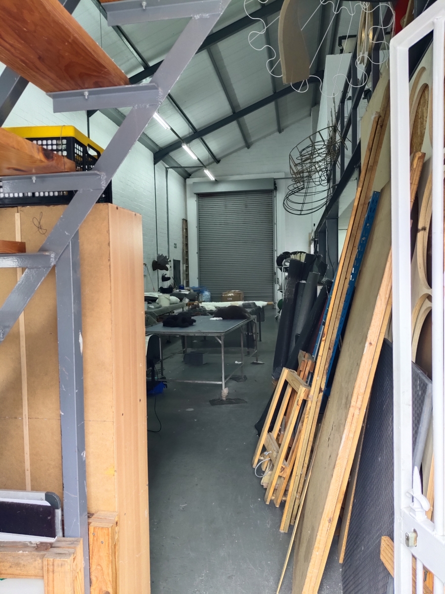 To Let commercial Property for Rent in Muizenberg Western Cape